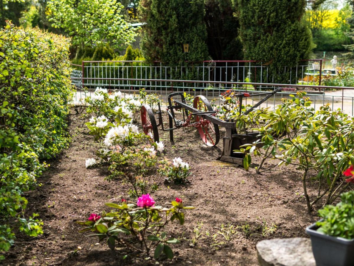 Gartenbungalow 2 rechte Seite Klein Pravtshagen Zimmer foto